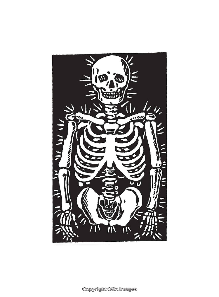 Black And White Skeletal Figure Line Art Illustration With Detailed Anatomy
