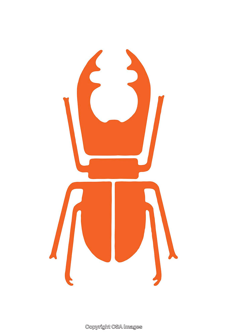 Minimalist Orange Beetle Icon Design on a White Background