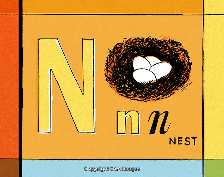 Illustrated Alphabet Letter 'N' With Nest and Eggs Art Design