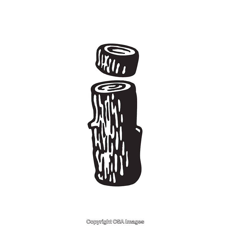 Black and White Wood-Textured Letter I Design Illustration