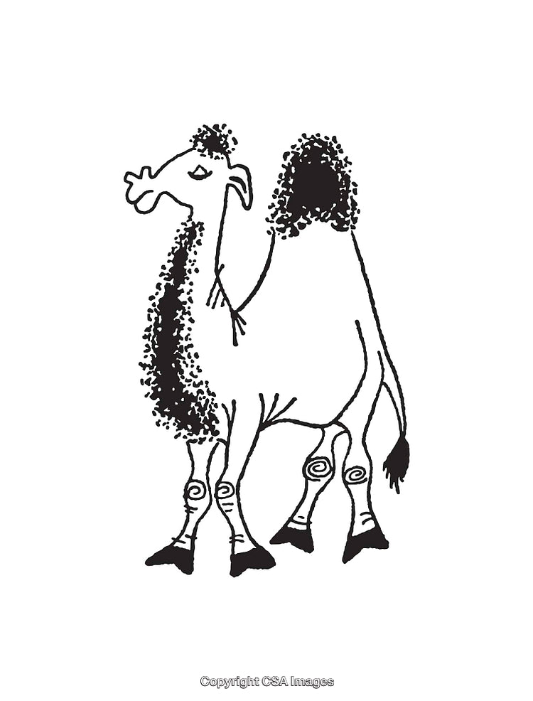 Black And White Line Art Illustration of a Stylized Camel