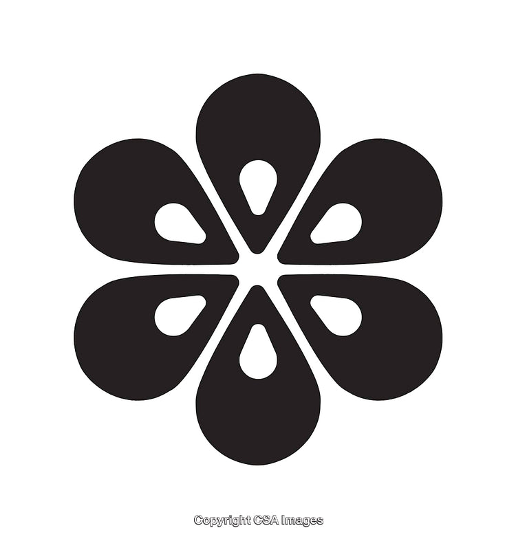 Minimalistic Black and White Flower-Shaped Abstract Icon