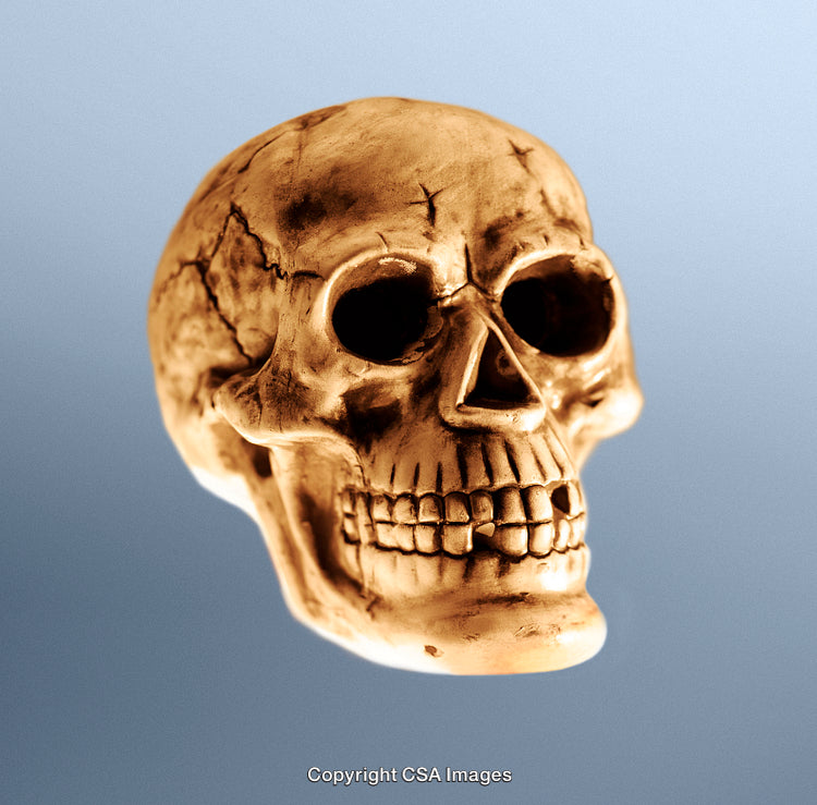 Golden Human Skull Sculpture Displayed Against a Soft Gradient Background