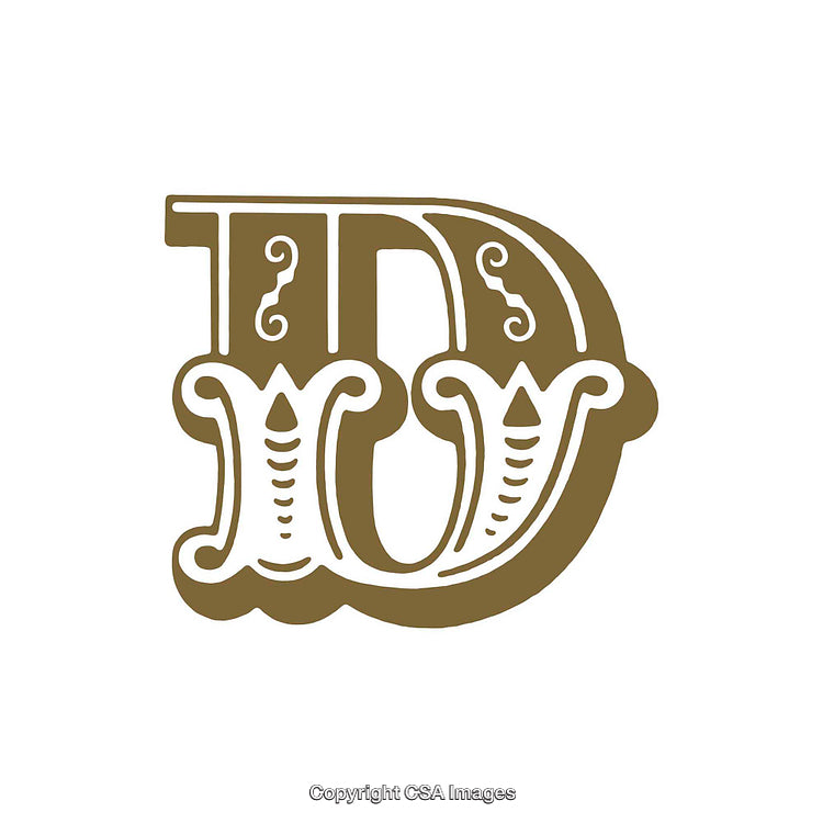 Ornate Decorative Letter D in Vintage Typography Style Design