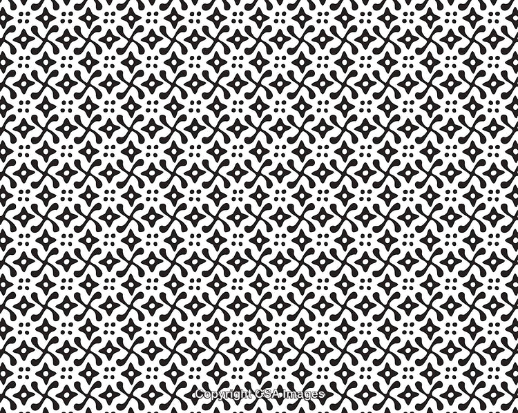 Seamless Black and White Pattern with Geometric Decorative Motifs