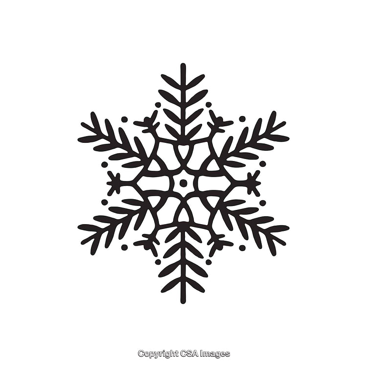 Detailed Black Snowflake Icon in Simplistic Dingbat Style