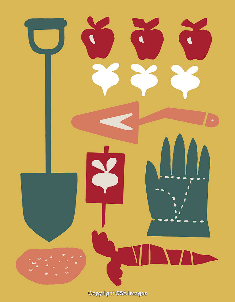 Whimsical Gardening Tools and Produce in Colorful Stylized Illustrations