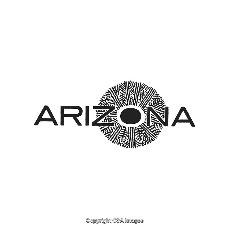 Modern Stylized Arizona Artwork with Cultural Patterns and Bold Typography
