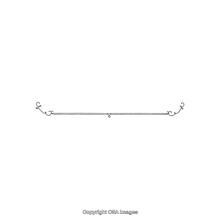Elegant Minimalist Decorative Ornamental Divider with Graceful Swirls and Details