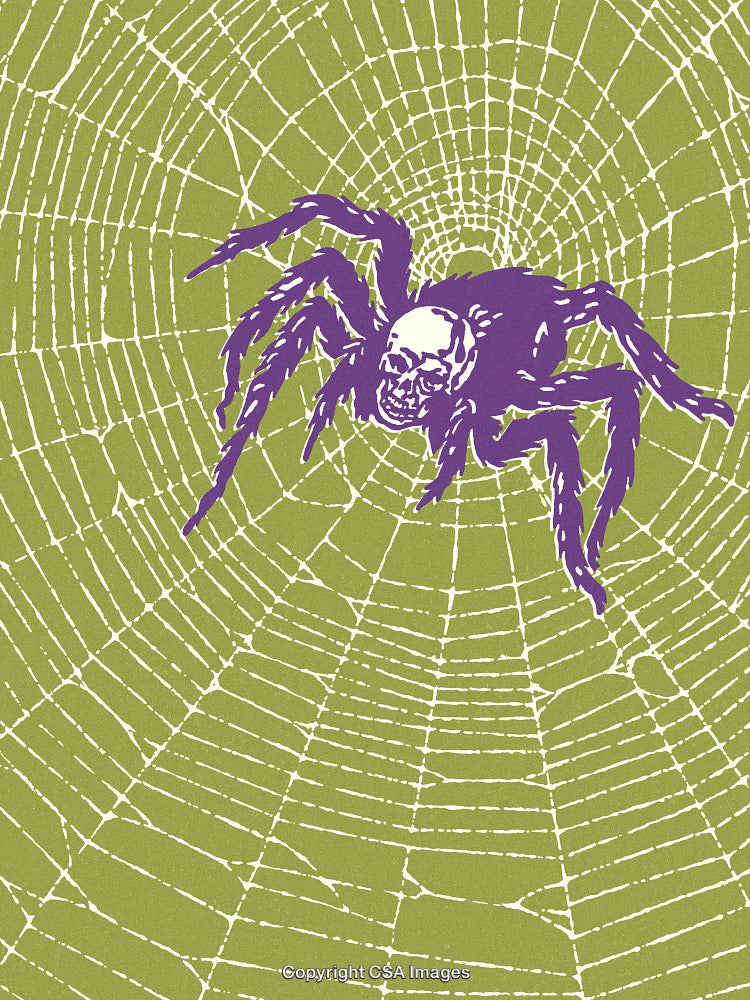 Illustration of a Spider with Skull Design in Detailed Web
