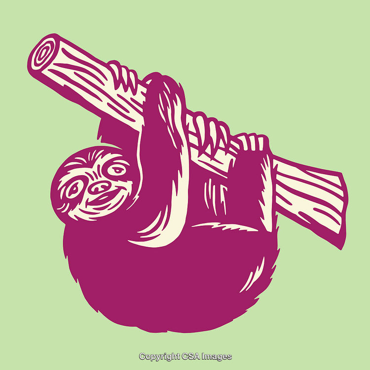 Color Line Art Illustration of a Sloth Hanging on a Tree Log