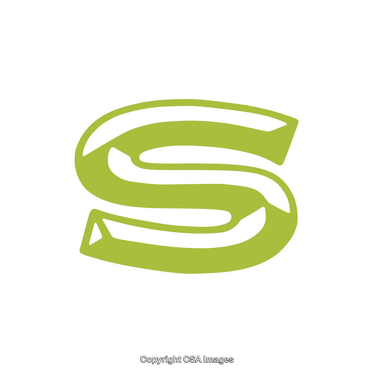 Green Stylized Letter S on a White Background
