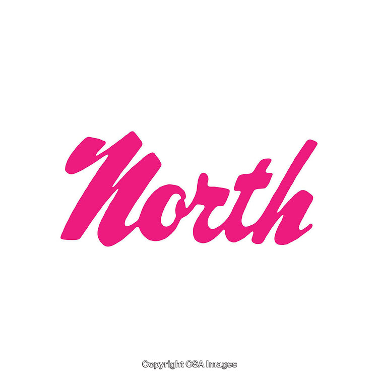 Pink North Lettering in Modern Script on White Background