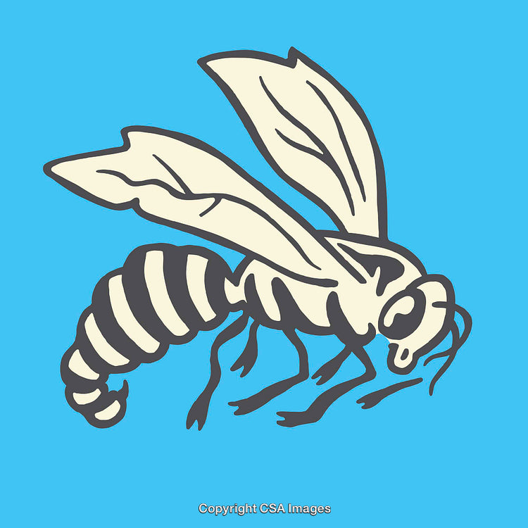 Detailed Illustration of a Striped Bee on a Blue Background