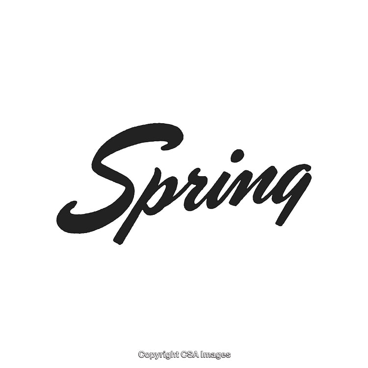 Elegant Handwritten Spring Typography Design Highlighting Seasonal Theme