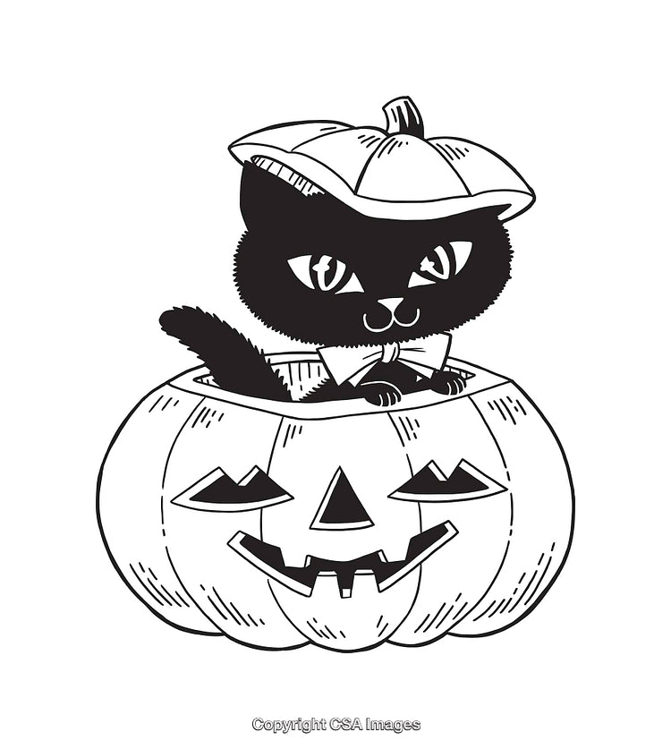 Adorable Black Cat in a Jack-O'-Lantern Line Art Illustration