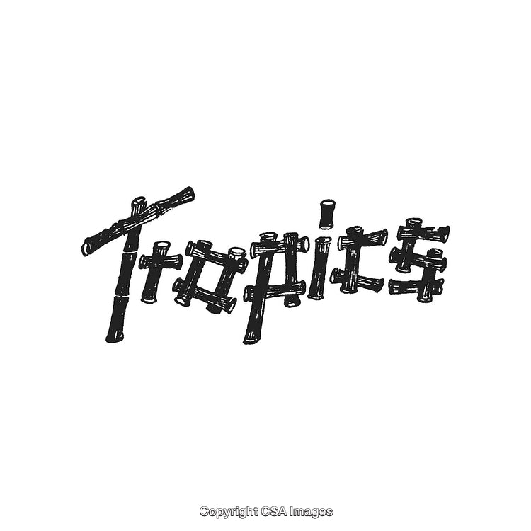 Rustic Bamboo Sticks Forming The Word Topics in Creative Hand-Drawn Style