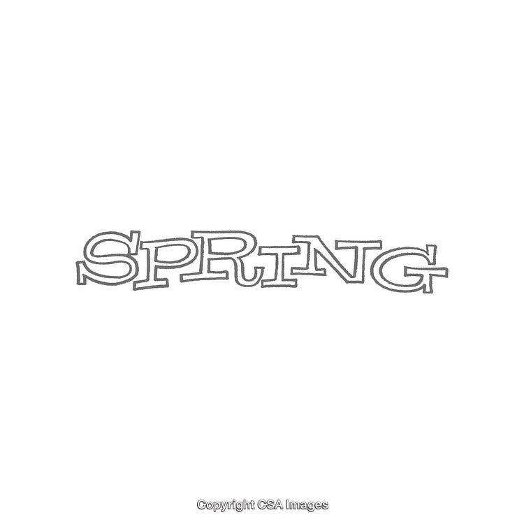 Simple Monochrome Text Illustration of Spring Season Word Art