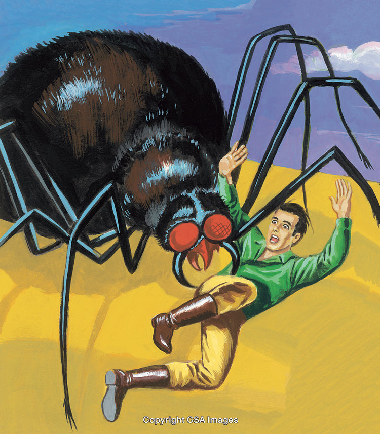 Giant Fly Confronts Terrified Man in Bright Wilderness Landscape