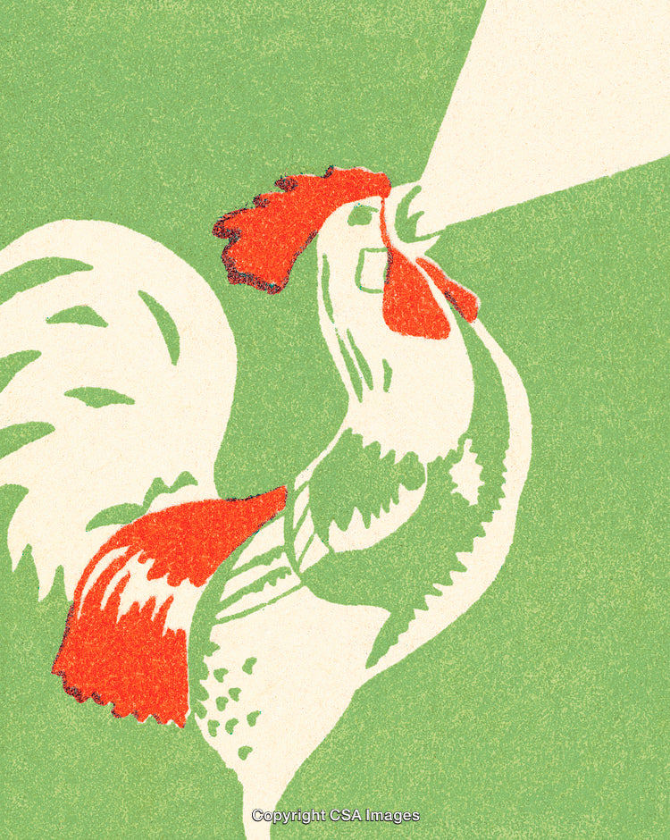 Vintage Illustration of A Rooster Crowing With Bold Colors on Green Background