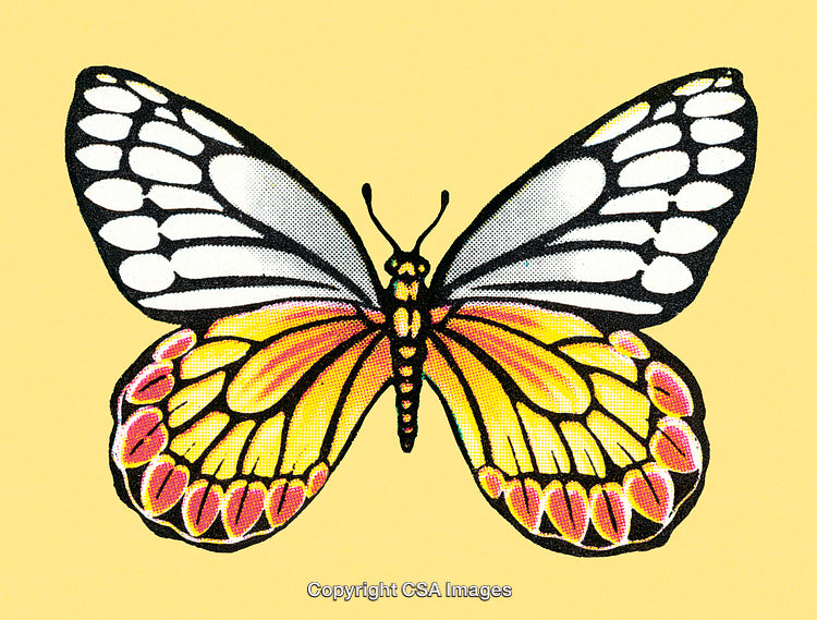 Colorful Monarch Butterfly Illustration on a Vibrant Yellow Background