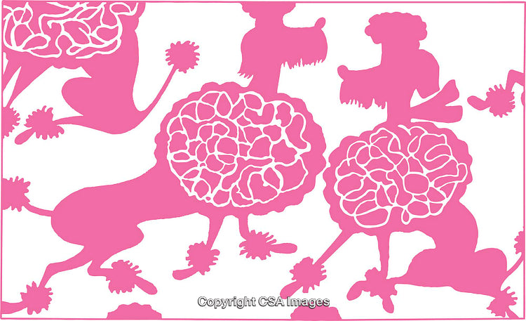 Pink Stylized Poodle Pattern with Playful Design Elements