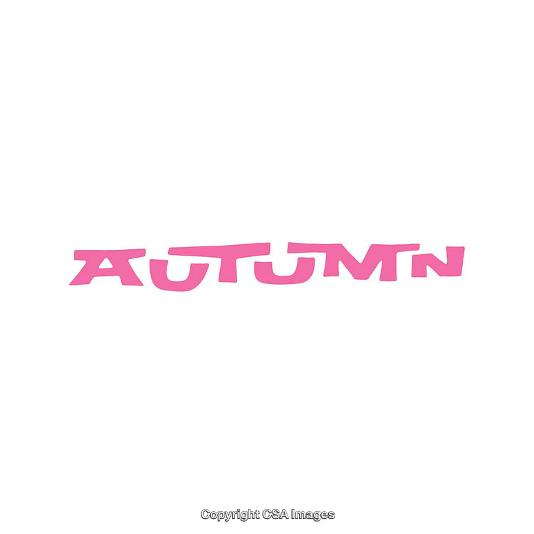 Pink Typography Featuring the Word "Autumn" on a Clean White Background