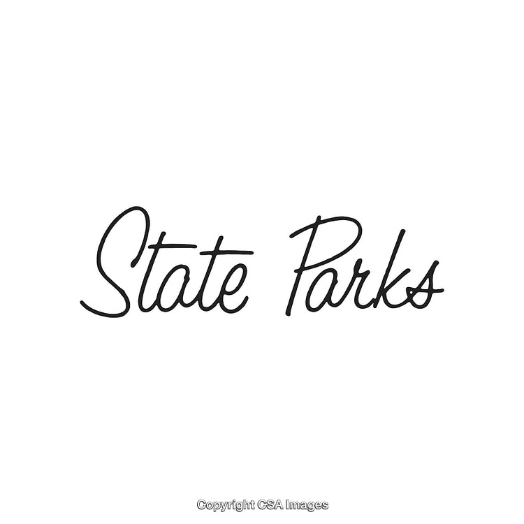Elegant Black Handwritten Script Showcasing Stylish Title 'State Parks' on White