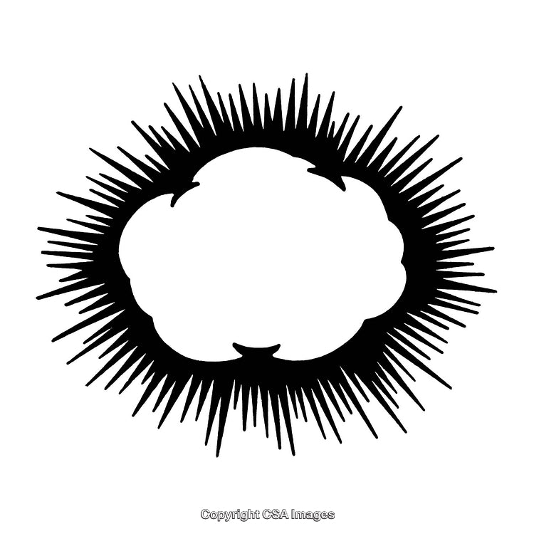Black and White Border with Spiky Burst Design
