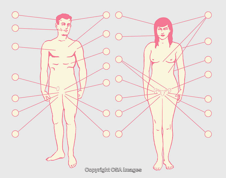 Anatomical Line Art Illustrations of Male and Female with Labeled Body Points