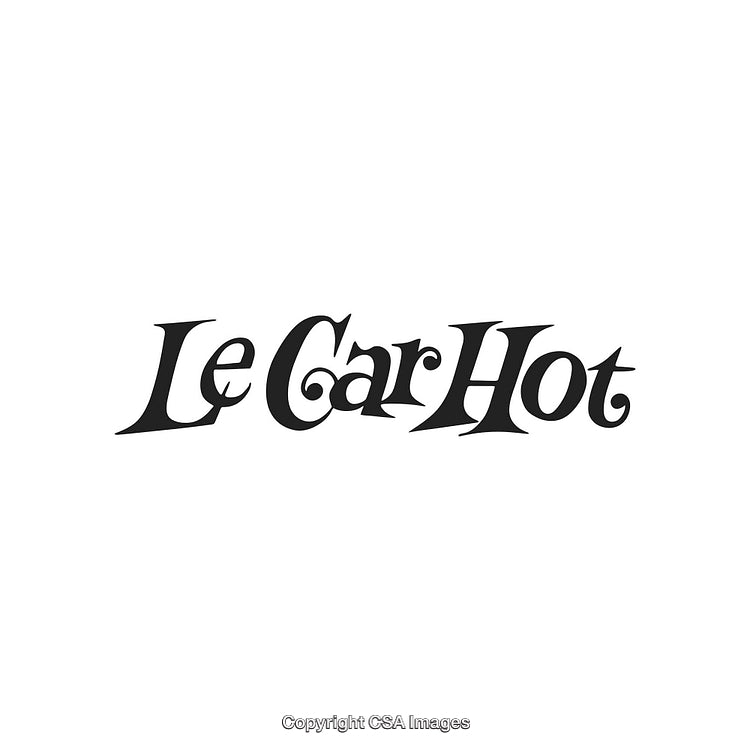Elegant Black and White Logo with Artistic Typography Design Elements
