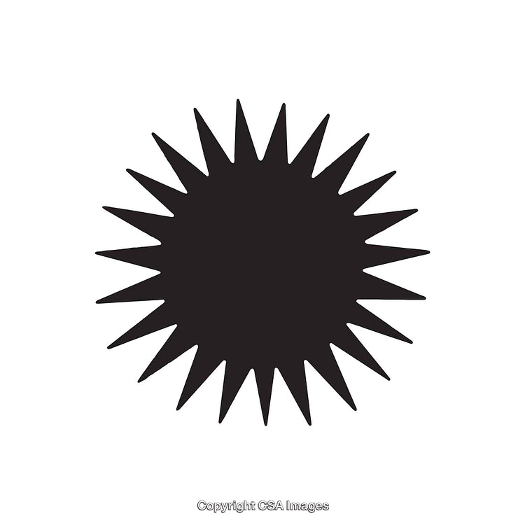 Black Starburst Silhouette Design with Sharp Bold Points on White Background