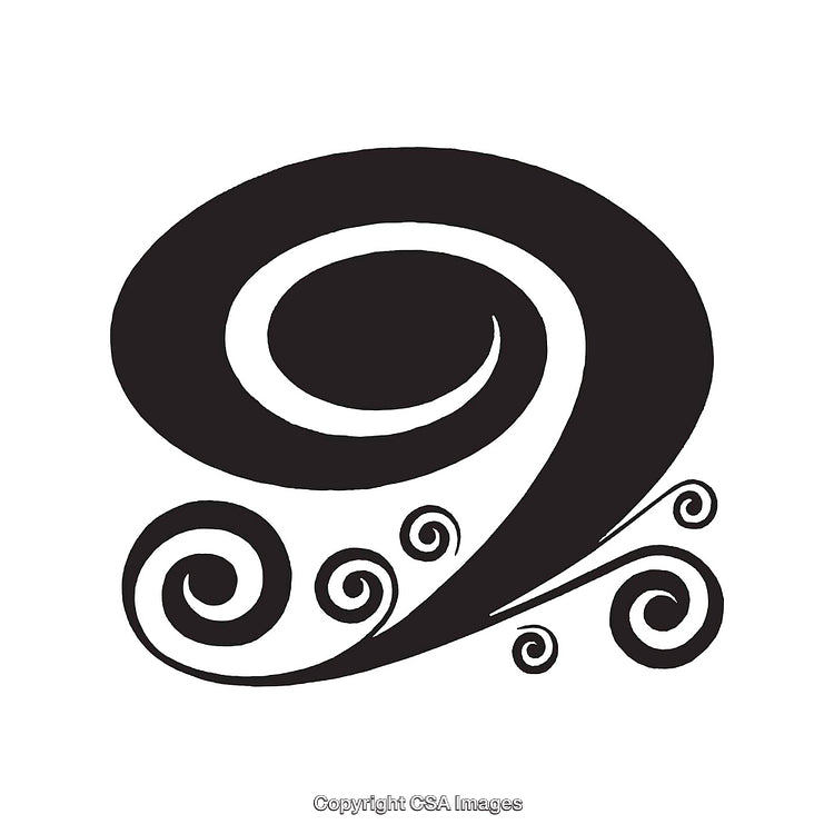 Artistic Black and White Swirl with Decorative Elements