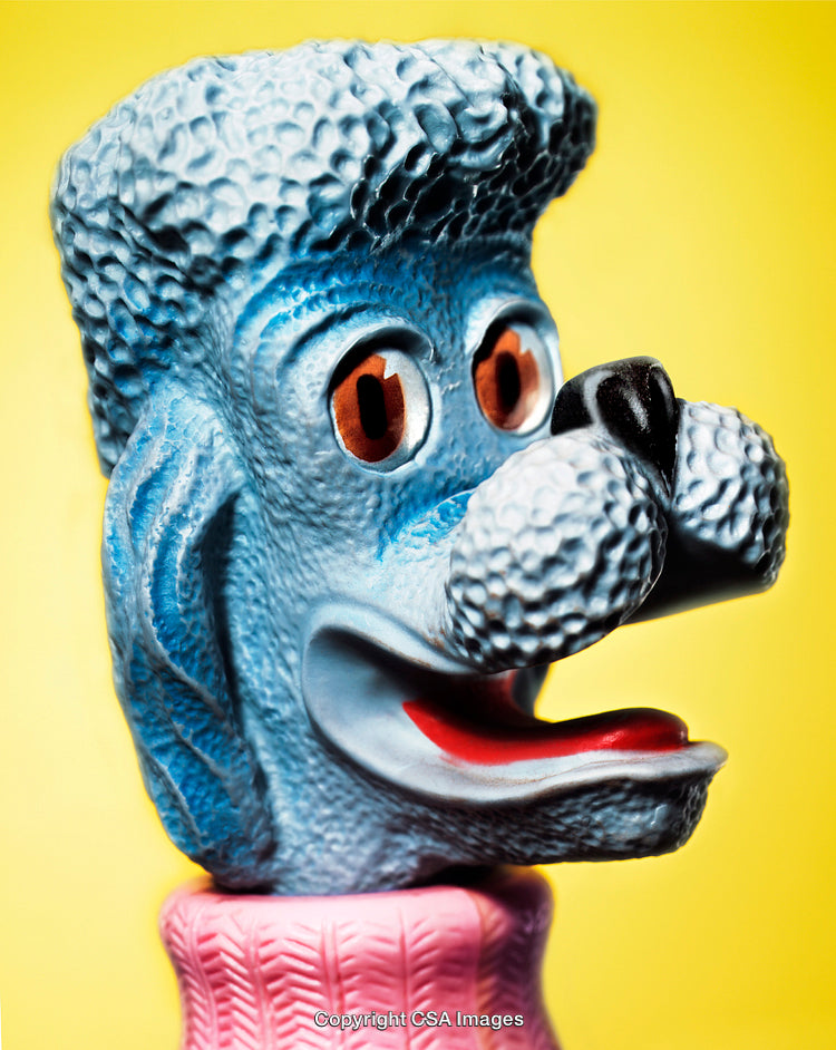 Blue Plastic Dog Toy Against Bright Yellow Background in Detailed Close-Up