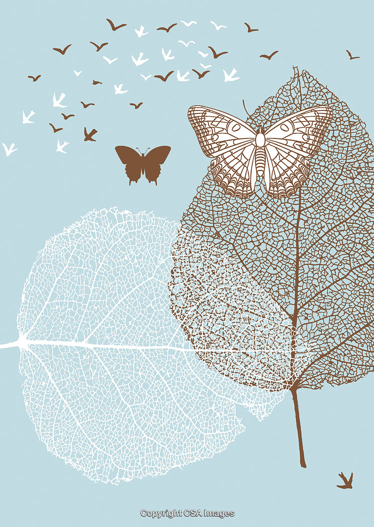 Intricate Butterfly Art with Leaf Skeleton on a Soft Blue Background