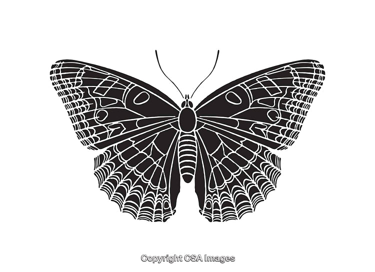 Intricate Black and White Butterfly Line Art Illustration