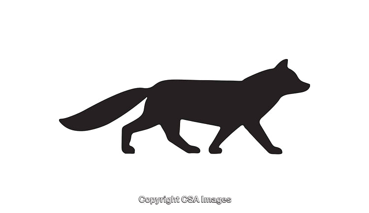 Silhouette of a Fox in Motion Icon on White Background