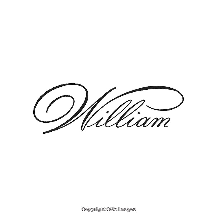 Elegant Calligraphy Design Featuring the Name William on a White Background