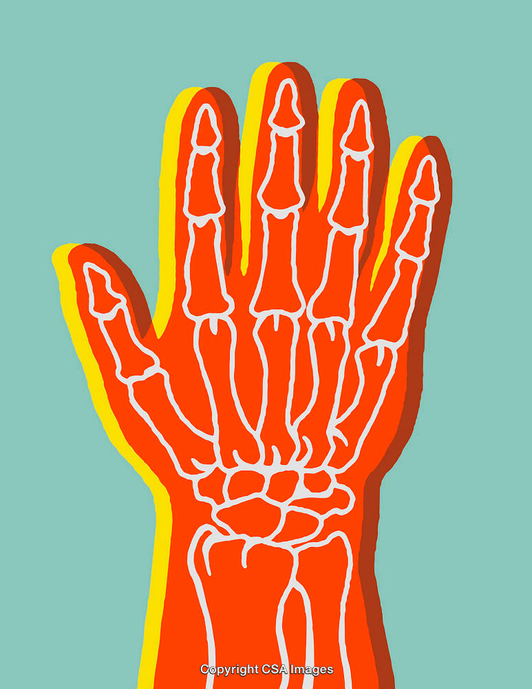 Colorful Abstract Illustration of the Human Hand Bones Anatomy