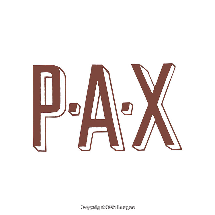 Bold Minimal Typography Featuring the Word PAX in a Vintage Style