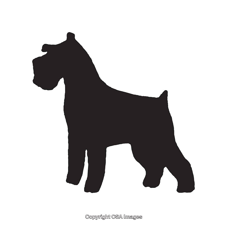 Silhouette of a Dog in Black and White Line Art Style