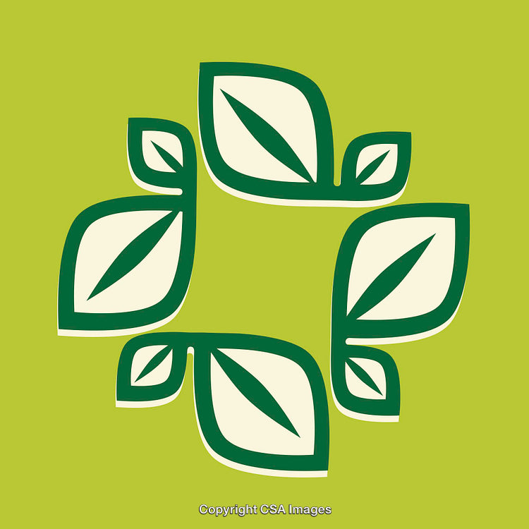 Elegant Abstract Green Leaf Symbol on Vibrant Green Background