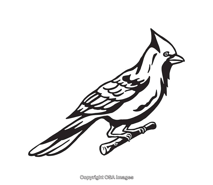 Black and White Line Art Illustration of a Bird Sitting on a Branch