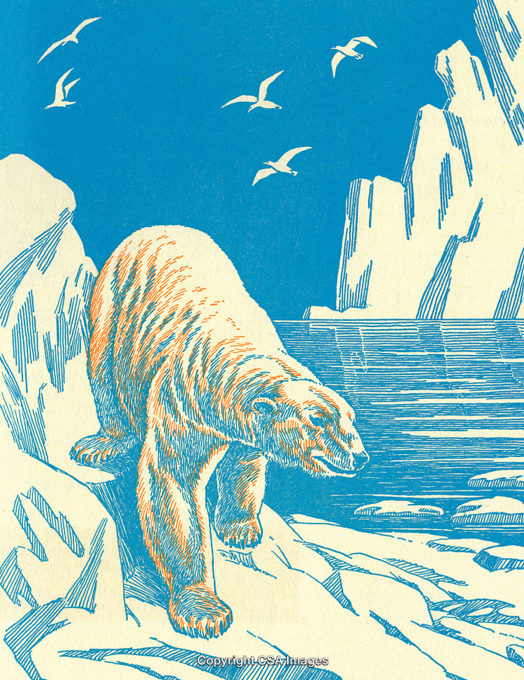 Illustrated Polar Bear on Arctic Landscape With Birds and Icebergs