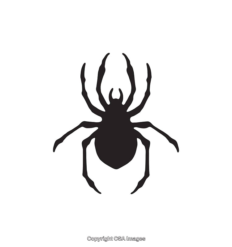 Black Silhouette of a Spider Icon on White Background
