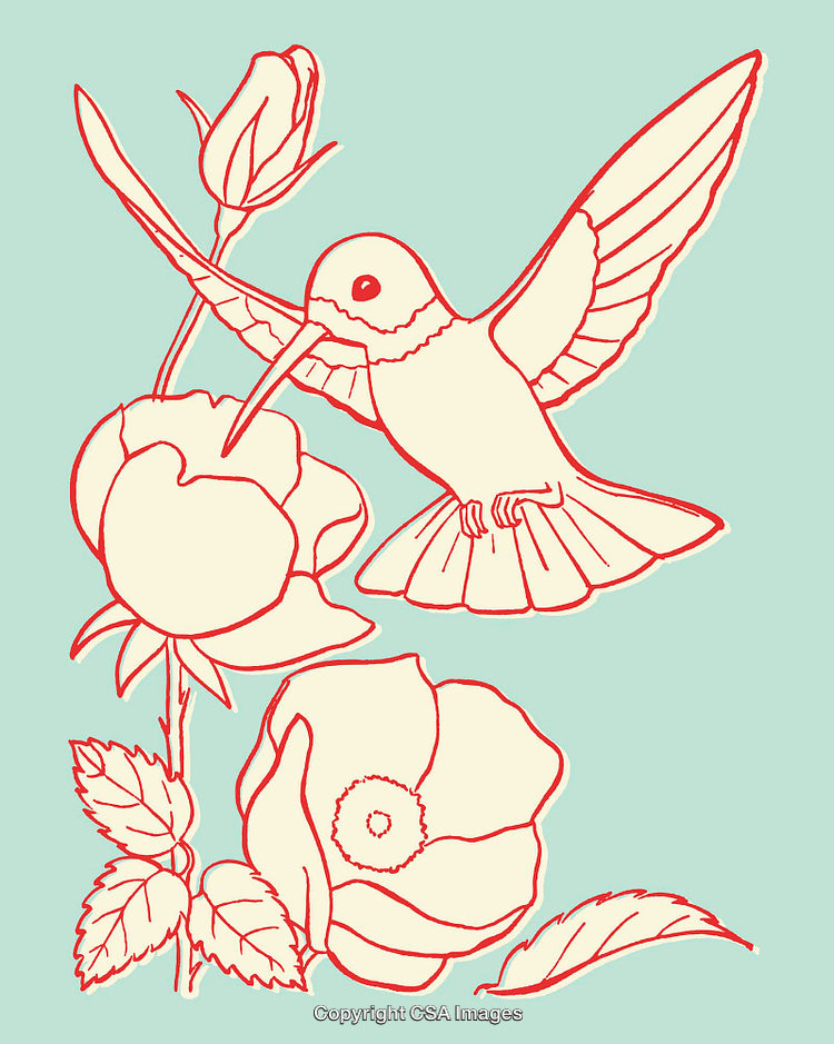 Colorful Line Art Illustration of a Hummingbird with Roses
