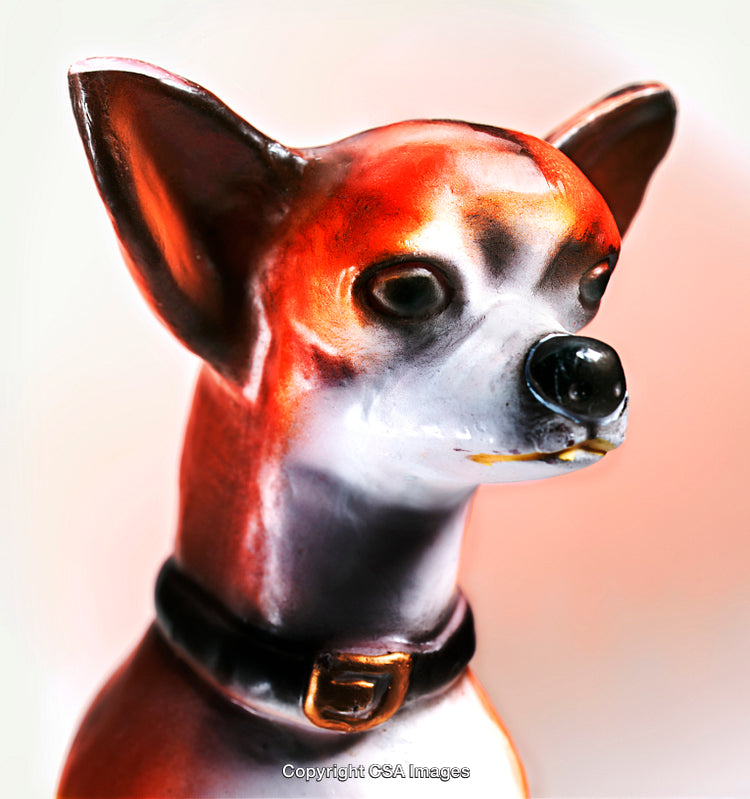 Close-Up of a Colorful Dog Toy Against Blurred Background