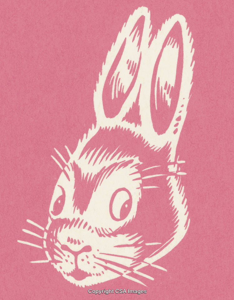 Detailed Sketch of a Rabbit on a Pink Background in Retro Style