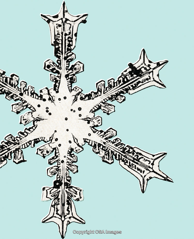 Intricate Snowflake Illustration With Light Blue Background Highlighting Its Details