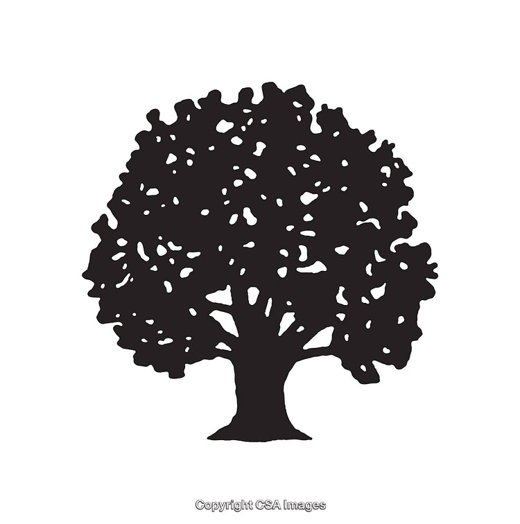 Black and White Silhouette of a Tree with Detailed Branch Pattern
